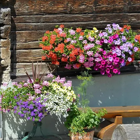 Selbstversorgerhaus Herisch