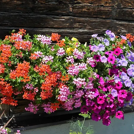 Selbstversorgerhaus Herisch Casa vacanze Schladming