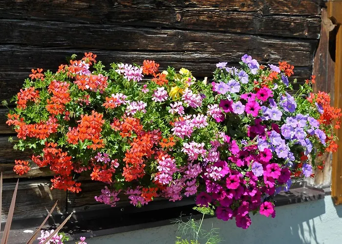 Selbstversorgerhaus Herisch Vakantiehuis Schladming